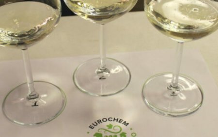 Nutrire il Vigneto: Masterclass di degustazione in Friuli Venezia Giulia