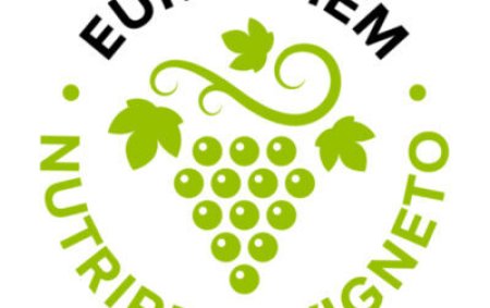 Nutrire il vigneto, migliorare il vino
