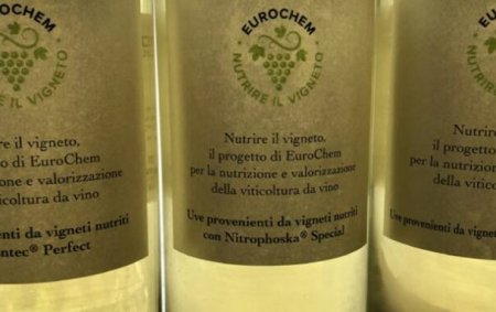 Nutrizione del vigneto: la degustazione conferma il ruolo dell’azoto