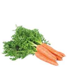Carota
