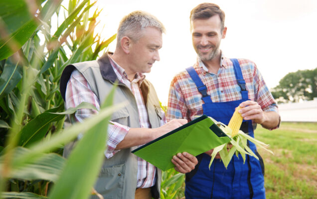Fertilizzante ad alta efficienza (EEF): soluzione intelligente per una domanda sempre più crescente