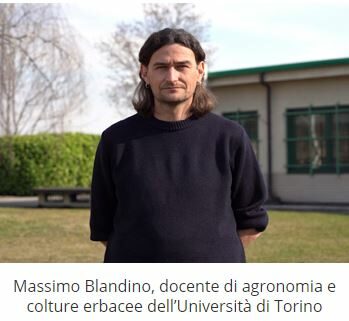Fertilizzazione del mais: attenzione alle fasi chiave