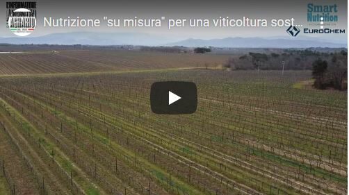 Nutrizione “su misura” per una viticoltura sostenibile