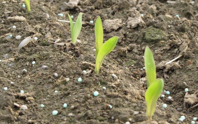 Incremento della sostenibilità nella produzione agricola